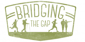 Bridging the Gap logo